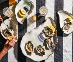 Deals 🛒 Abigails Inc Seaside Oyster Plate, Medium, Set Of 4 🔔 -Tabletop Sales Store 40b1b5fa0e4d49a0 1790 w800 h800 b0 p0