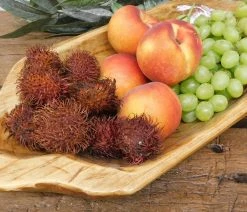 Coupon 😉 Mexican Imports Food Safe Cocol Dough Bowl, Serving Platter ⌛