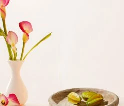 Flash Sale 👏 Serene Spaces Living 17" Round Paulownia Wood Tray, 3.25"& 17" 🔔 -Tabletop Sales Store 817182f3032767a9 7133 w800 h800 b0 p0