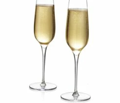 Discount 🌟 Nambe Vie Champagne Flutes, Set Of 2, 9oz 🎁 -Tabletop Sales Store 81e14cf20a9d6bb7 4118 w800 h800 b1 p0