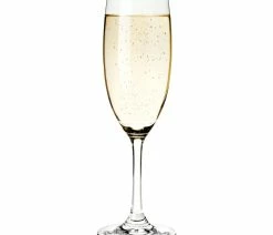 Hot Sale 👏 True Brands Cuv̩e Set Of 4 Champagne Flutes 🥰 -Tabletop Sales Store 97c1594607acc5f3 1208 w800 h800 b1 p0