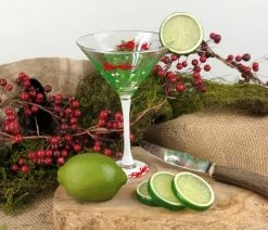 Best reviews of ⭐ Golden Hill Studio Mistletoe Martini, Set Of 2 ⌛ -Tabletop Sales Store ad31ee200eab173a 1237 w800 h800 b0 p0