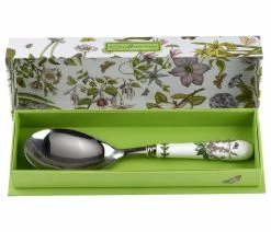 Top 10 ๐ Royal Worcester Portmeirion Botanic Garden Serving Spoon ๐งจ