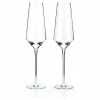 New 🤩 True Brands Raye Crystal Champagne Flutes By Viski, Set Of 2 😉