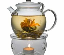 Discount ๐คฉ Teaposy Dream Posy Set โค๏ธ