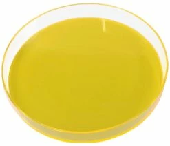 Best reviews of ⭐ The Rug Market Round Lucite Tray, Yellow 🎁